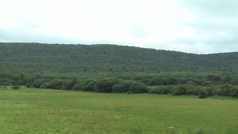 земля
